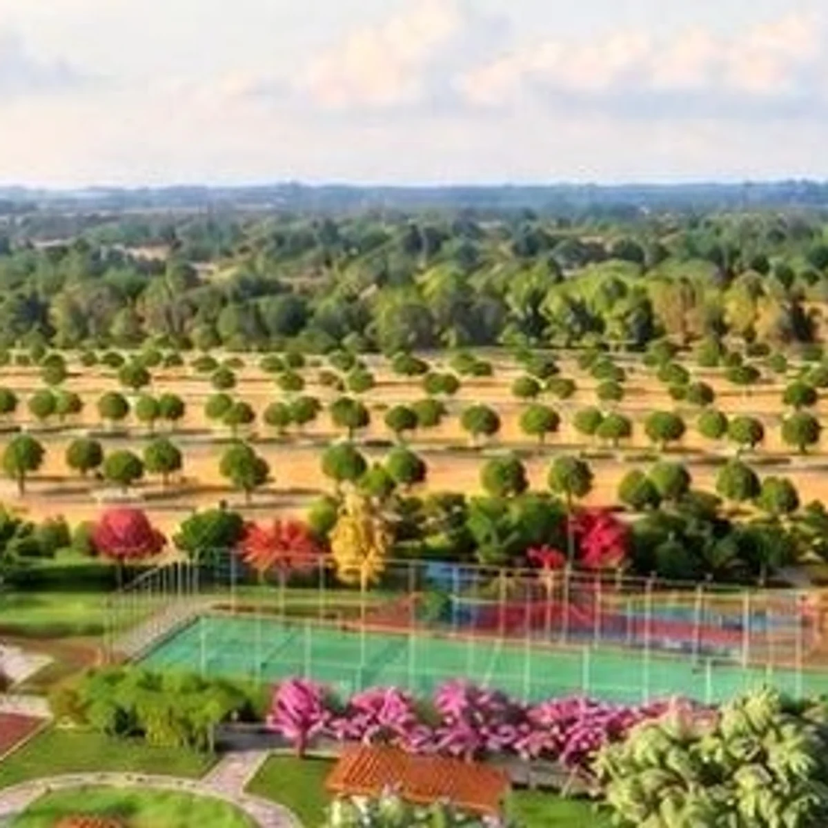 Open ground beyond the garden, plantation-style trees running to the horizon