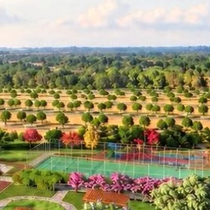 Open ground beyond the garden, plantation-style trees running to the horizon